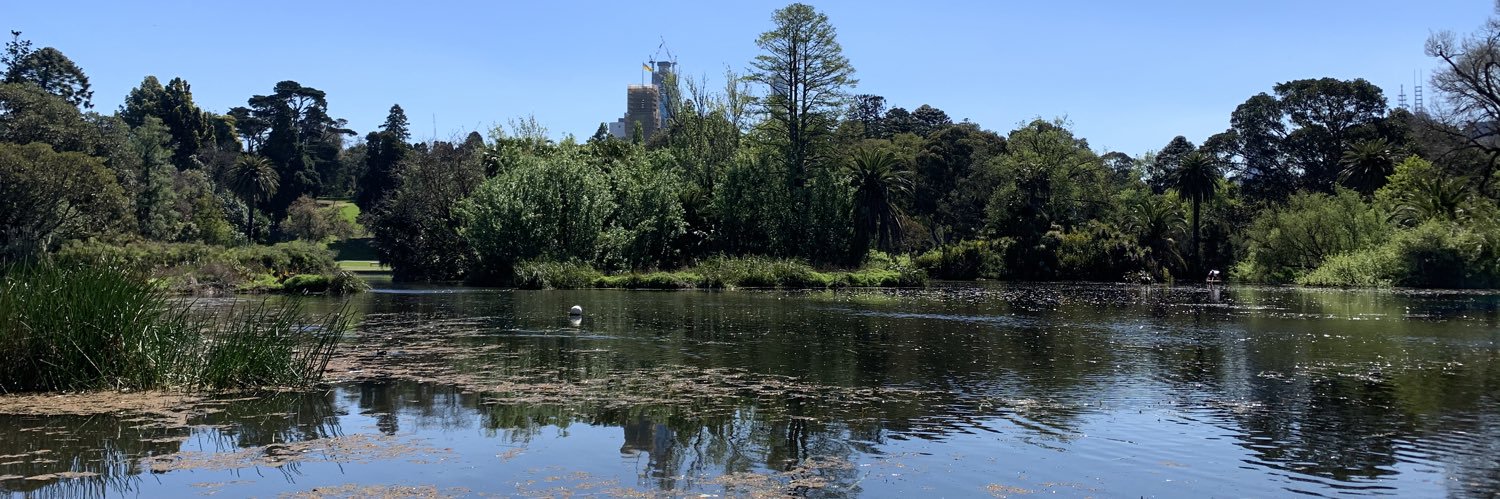 Rosie Giarratana 💙 banner