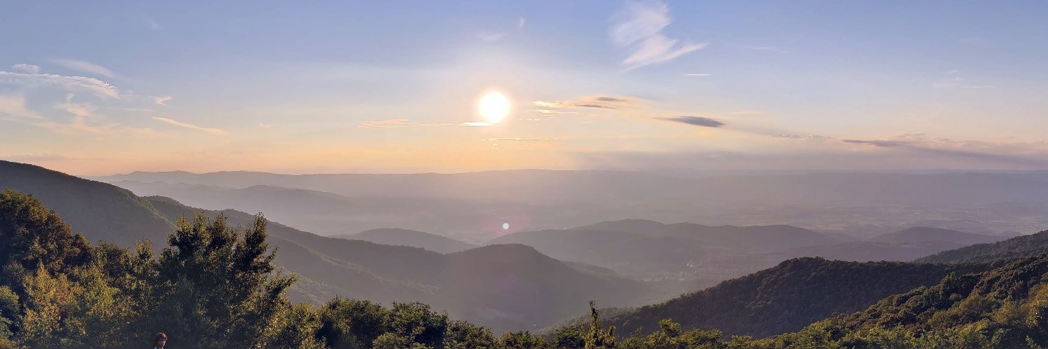 Anshuman Suri banner