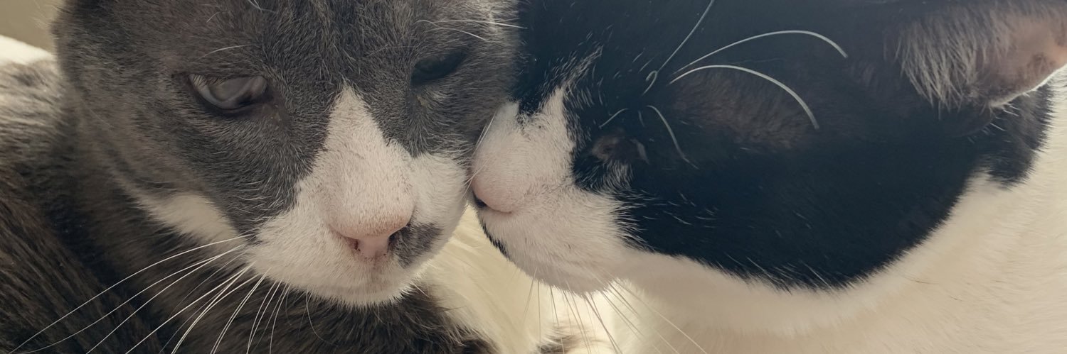 ケモジュク【趣味垢】 banner