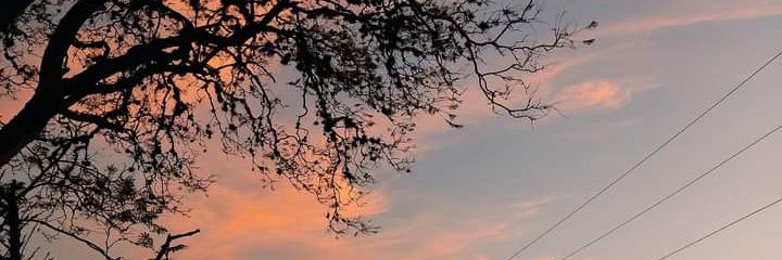 _lustrenadz's profile banner image