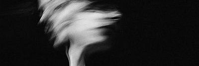 bsssdn's profile banner image