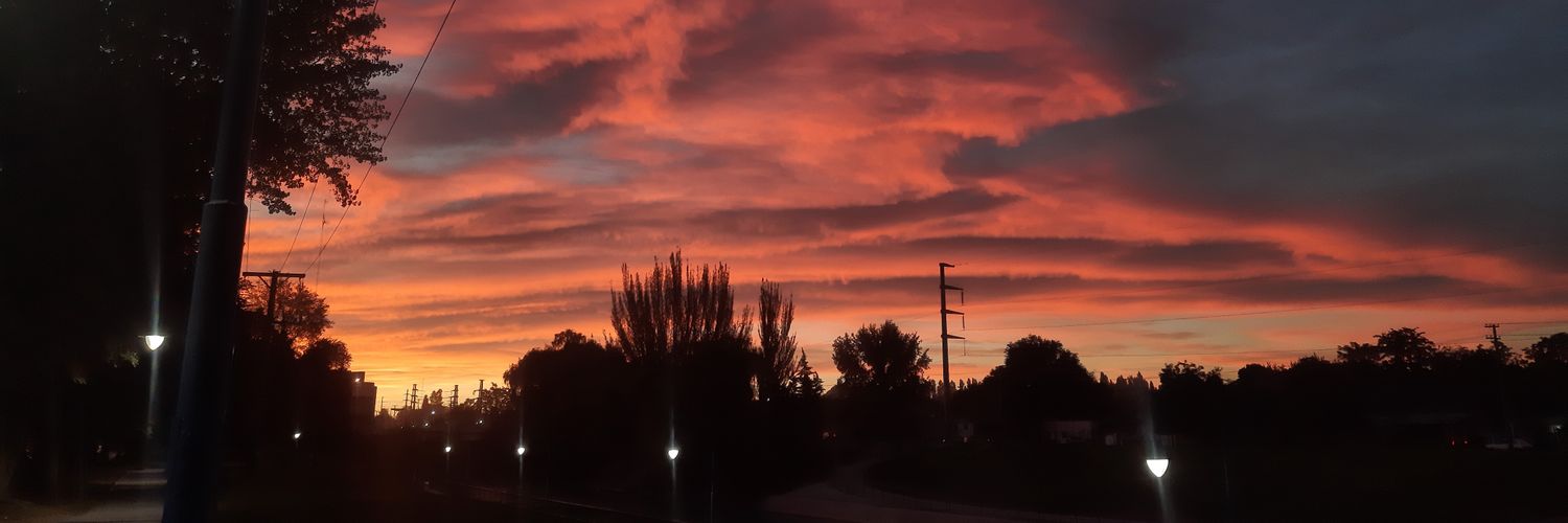 iaracsoto's profile banner image