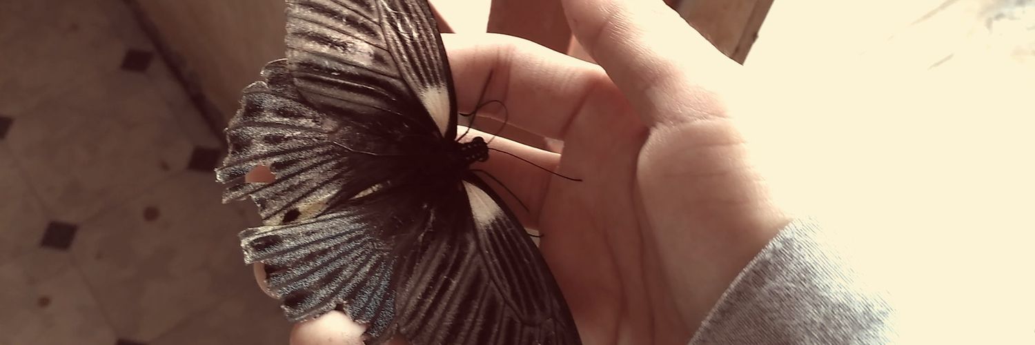 dimashendri29's profile banner image