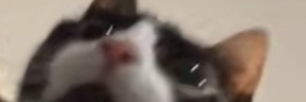 bYeGoaT's profile banner image