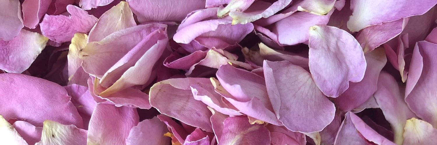 Prettypetals3's profile banner image