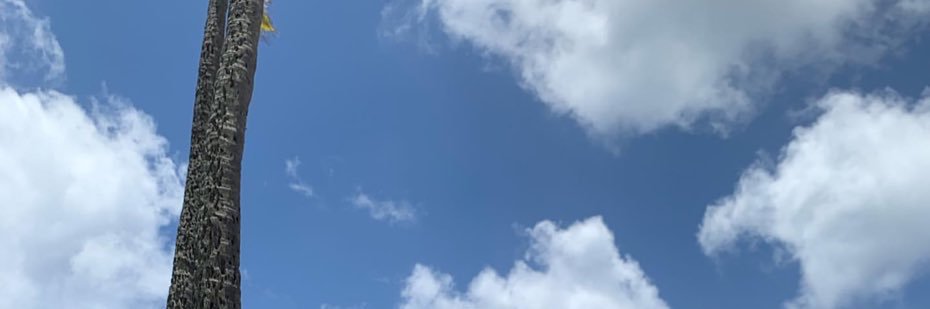 aunguish's profile banner image