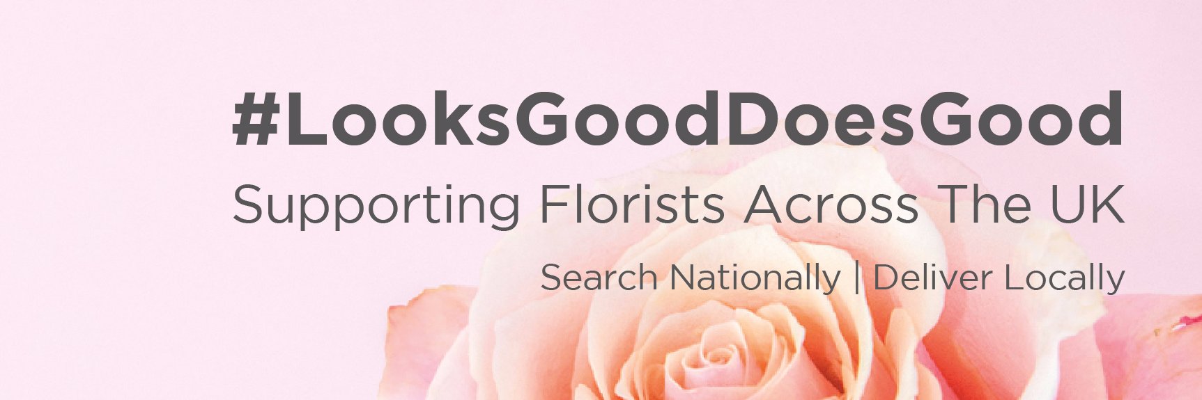 FUMSflowers's profile banner image