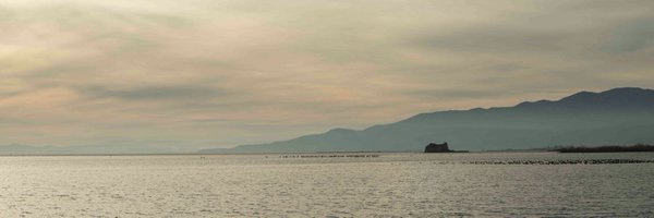 LauraFLabastida Profile Banner