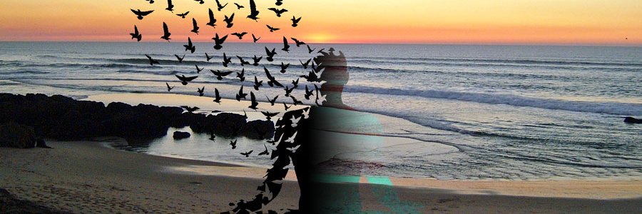 giustovincente's profile banner image