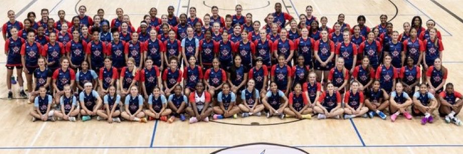 risingbluestar1's profile banner image