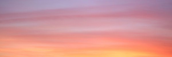 darkheart Profile Banner