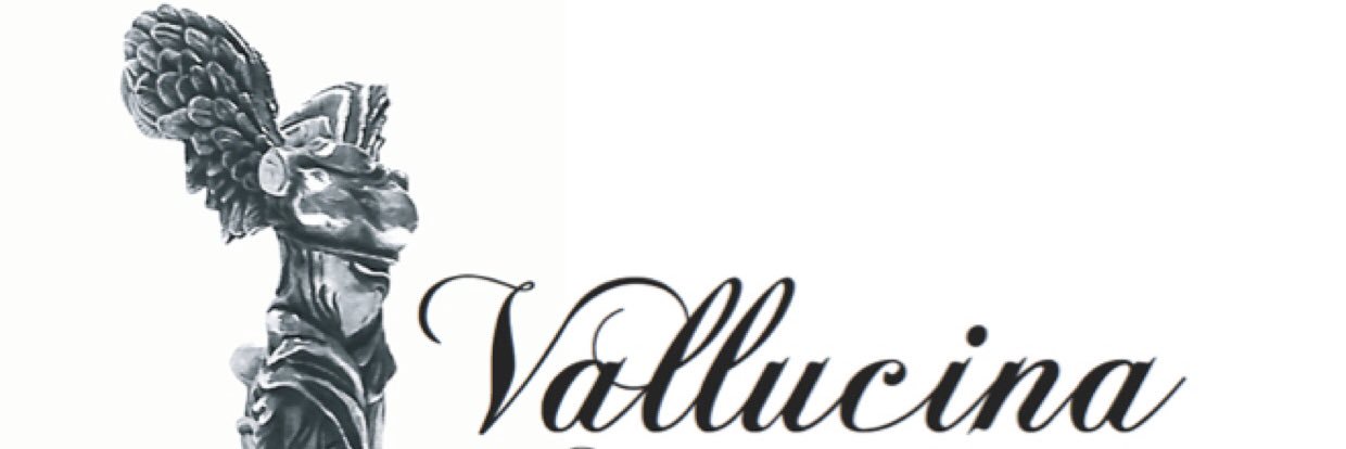 Vallucina's profile banner image