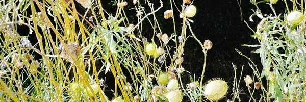 Enrilopezserran Profile Banner
