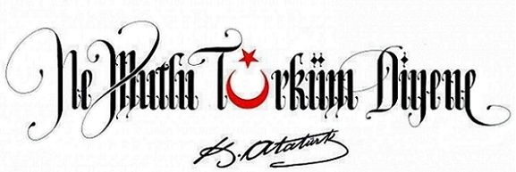 gameofcapulcu's profile banner image