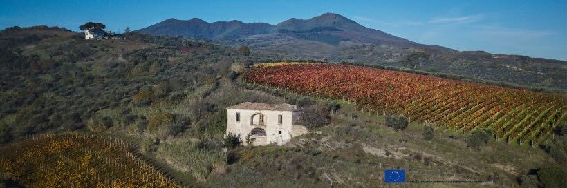 Cantine del Notaio banner