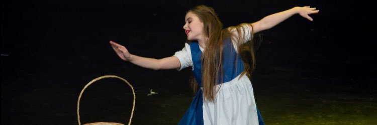 Junior Miss Galaxy Walsall banner