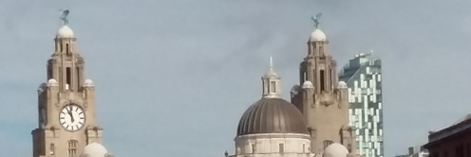Tedldoo's profile banner image