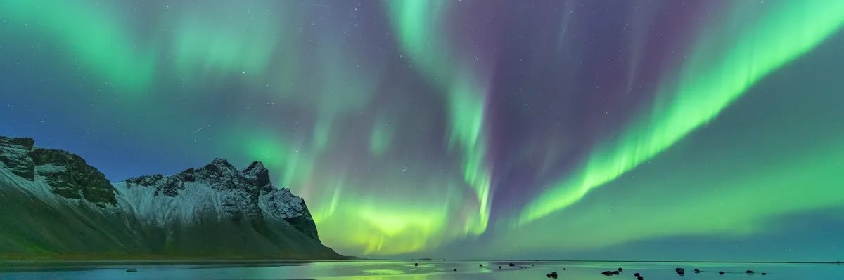 Latent_Tendency's profile banner image