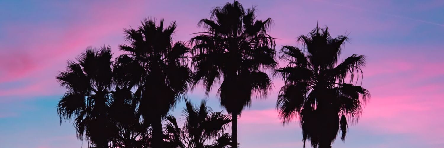 laur_camil's profile banner image