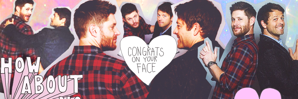 wingsxfreckles's profile banner image