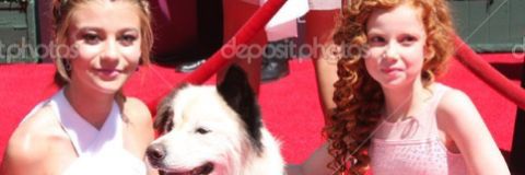 G_Hannelius0976's profile banner image
