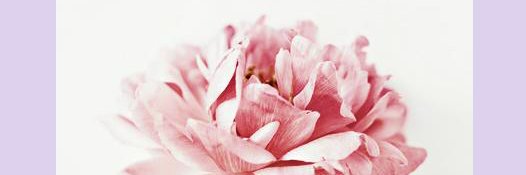 PaintTheStars's profile banner image
