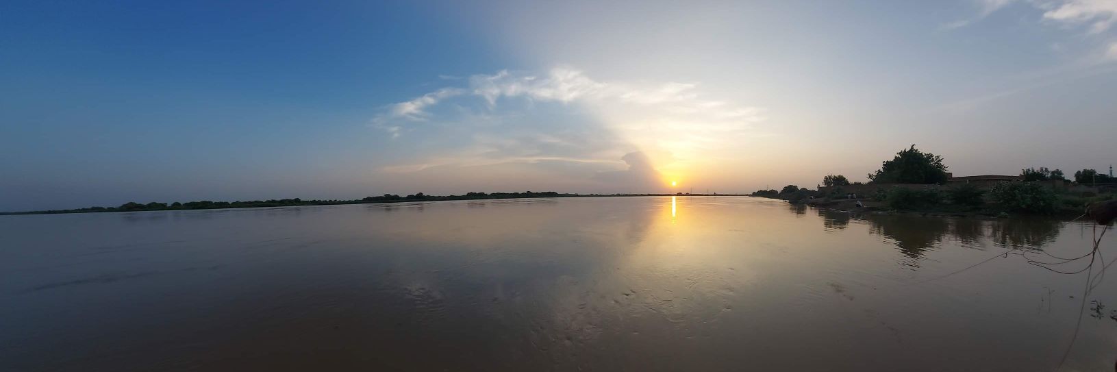 RandaAsim2015's profile banner image