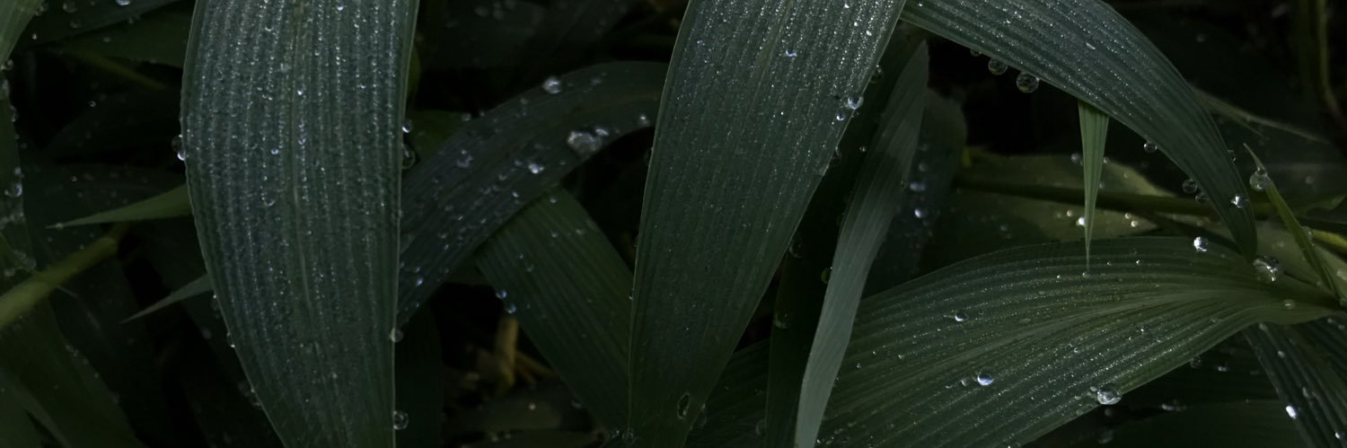 rezzahernwn's profile banner image