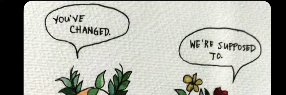 tohanechoes's profile banner image
