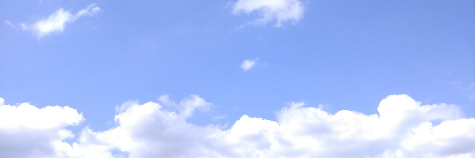 alamar08's profile banner image