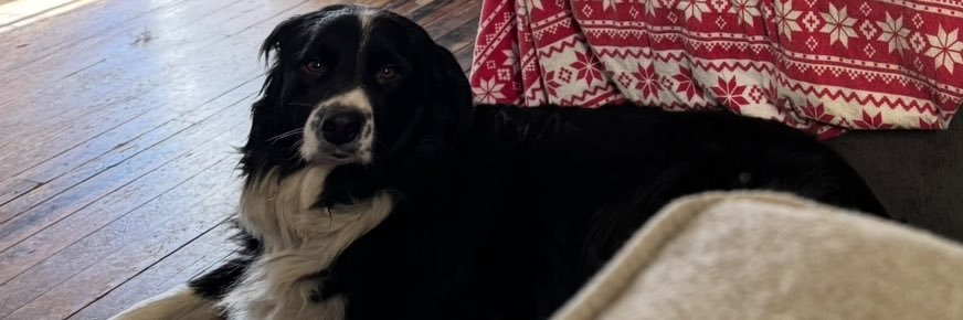 TinderSwiping's profile banner image