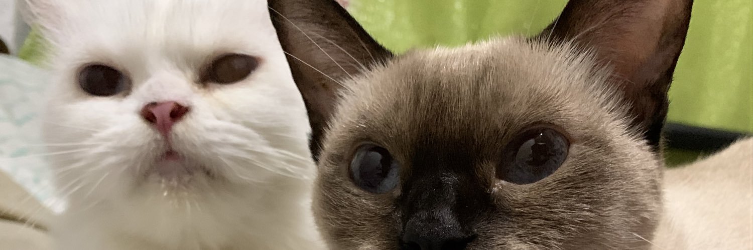 visbalicious's profile banner image