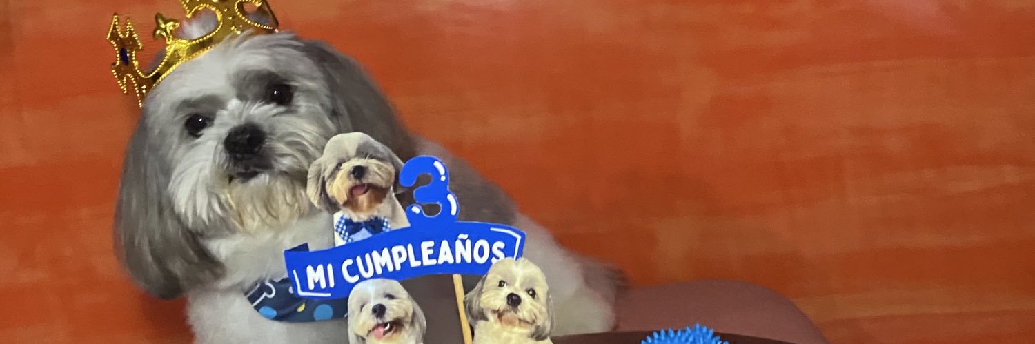 yiselcarolina26's profile banner image