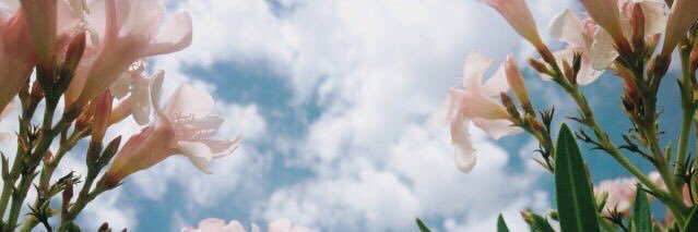 kepirakeb's profile banner image