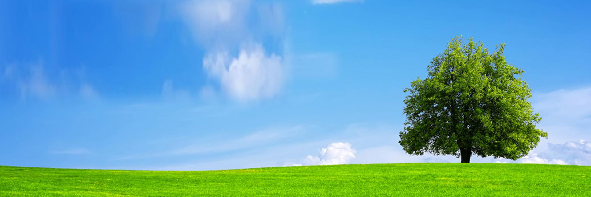 danbinns1's profile banner image