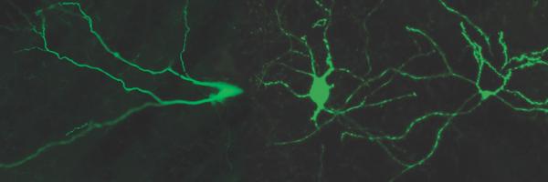 JohnNJReynolds Profile Banner