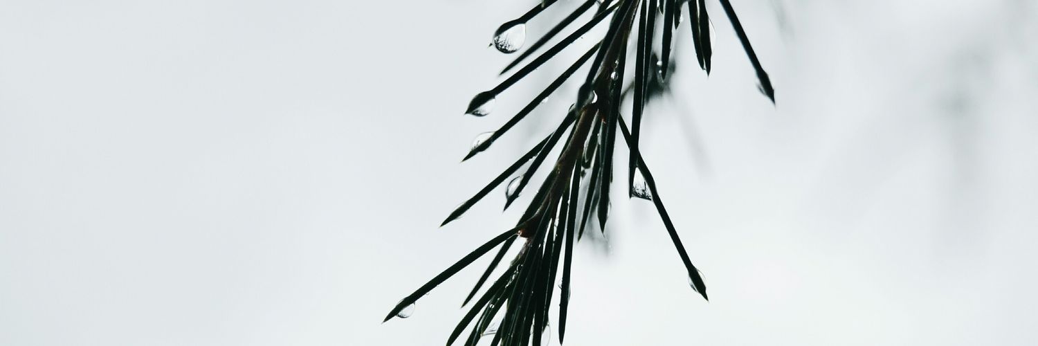 Marnhey_'s profile banner image
