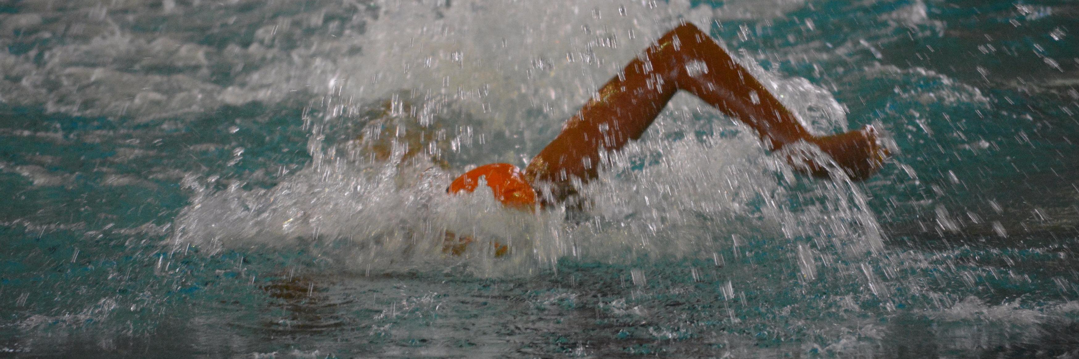 Bluephins_PEI's profile banner image