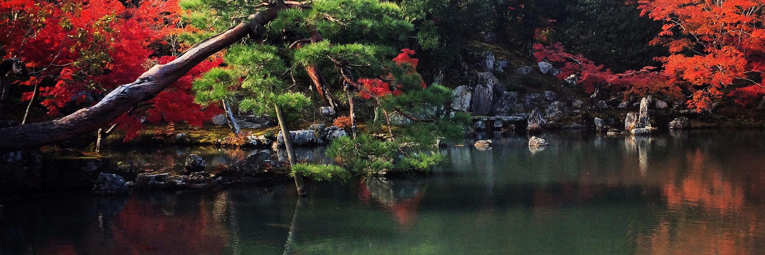 HandsJapan's profile banner image