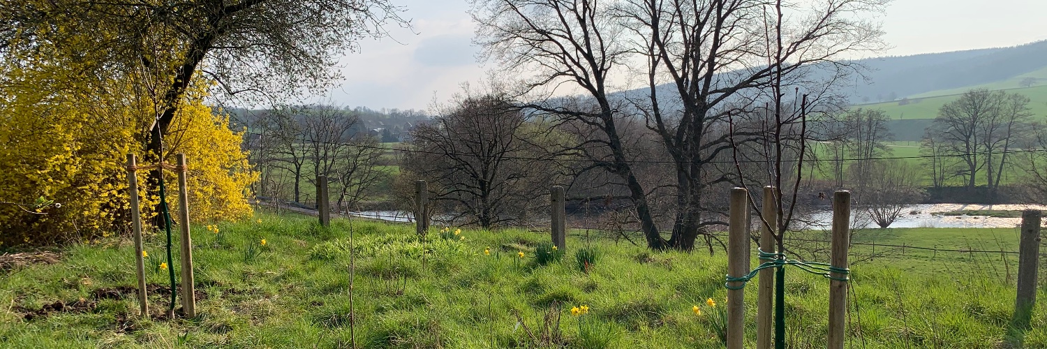 BIQ Dirk Wegner banner