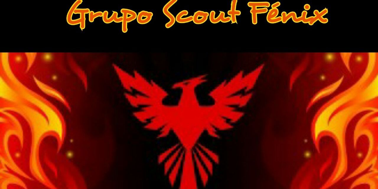 scoutsfenixch's profile banner image