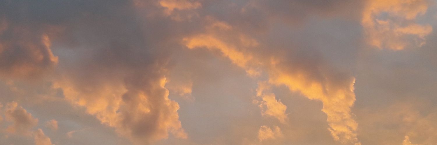 schimanskibrno's profile banner image