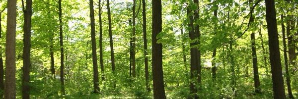 SLEC_LEO Profile Banner