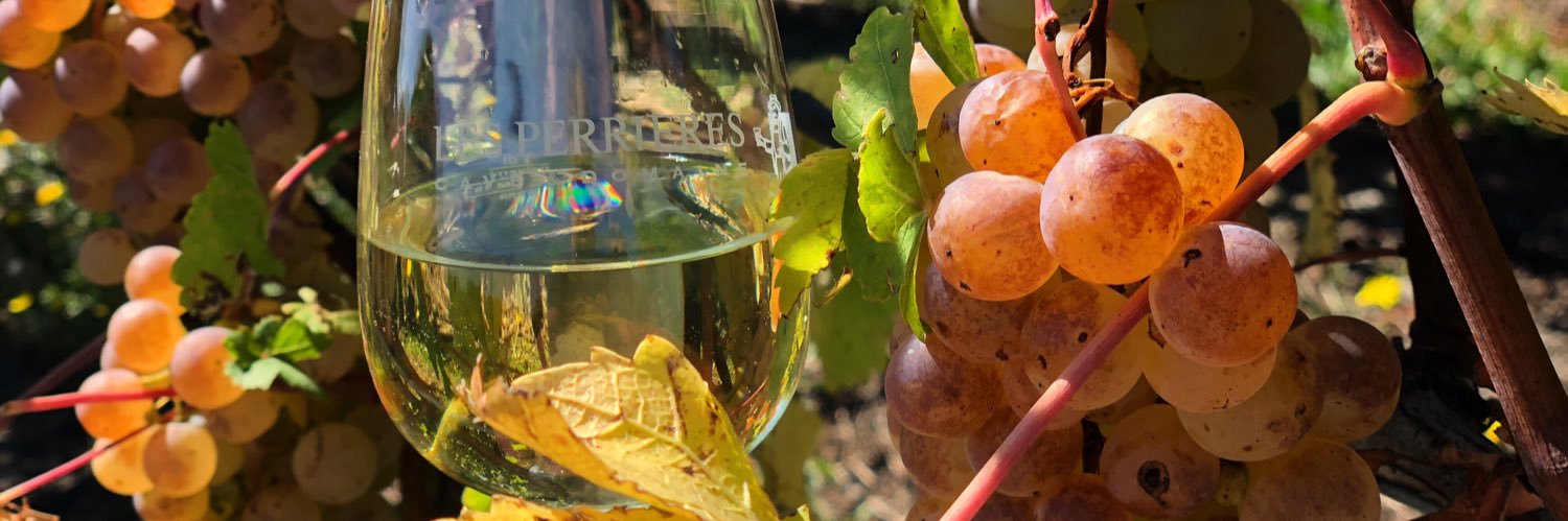 chasselas power banner