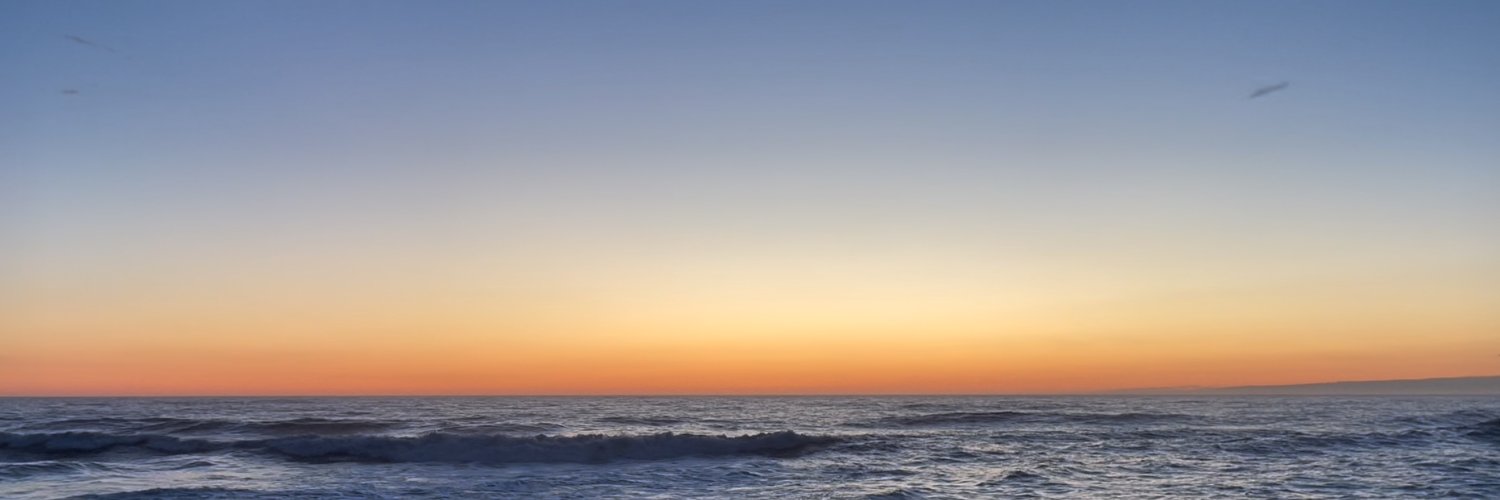 chicalish's profile banner image