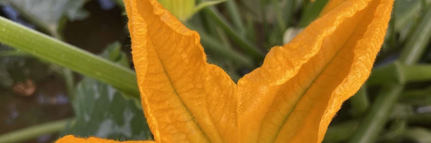 gstst_'s profile banner image