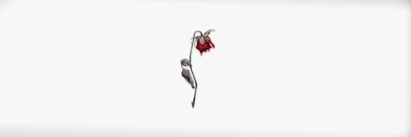 JaneXOmusic Profile Banner