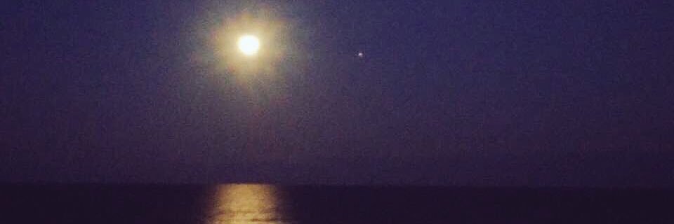 Lnem810's profile banner image