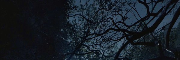 oluh_bool Profile Banner
