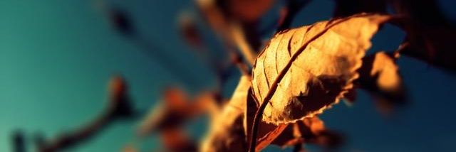 _Jameshuzi's profile banner image